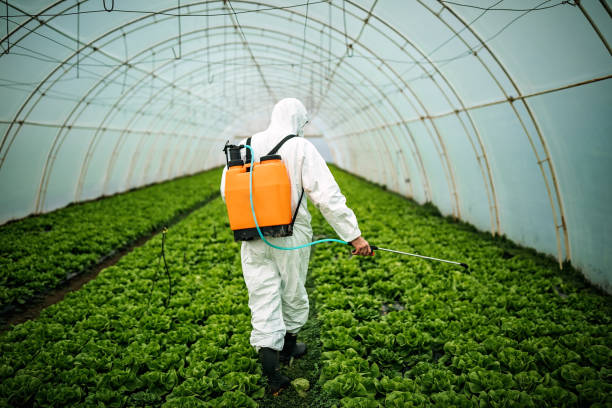 Best Mosquito Control Services  in Tuskegee, AL