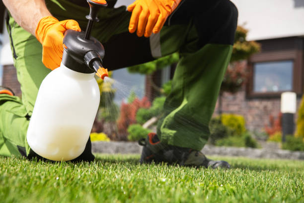 Best Flea Control Services  in Tuskegee, AL