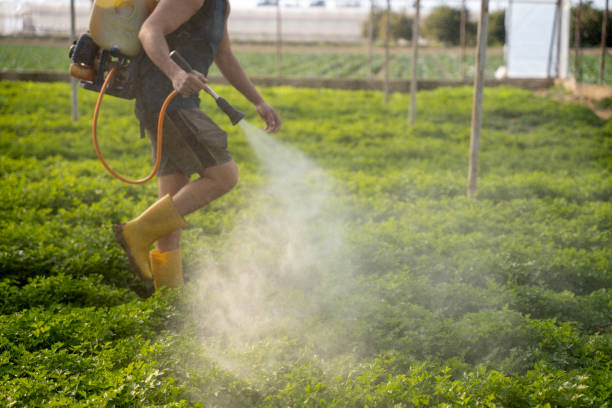 Best Exterminator Services  in Tuskegee, AL