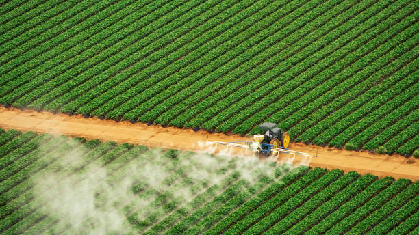 Pest Prevention Services in Tuskegee, AL