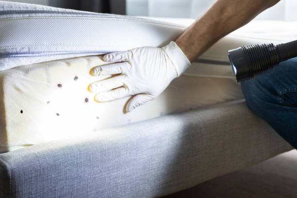 Reliable Tuskegee, AL Pest Control Solutions